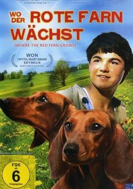 Wo der rote Farn wächst